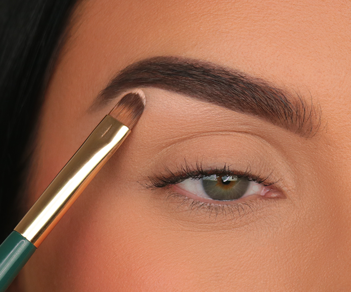 S06 Detailed Concealer Brush